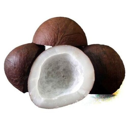 Coconut