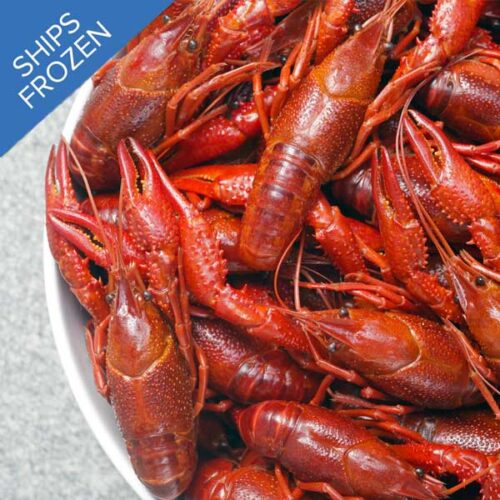 Crawfish / Crayfish