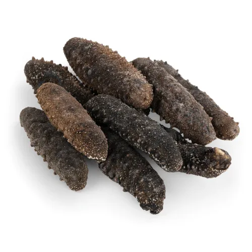 Dried Sea Cucumber