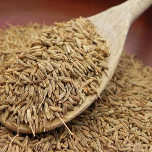 Green Cumin Seed