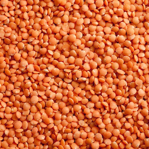 Lentils