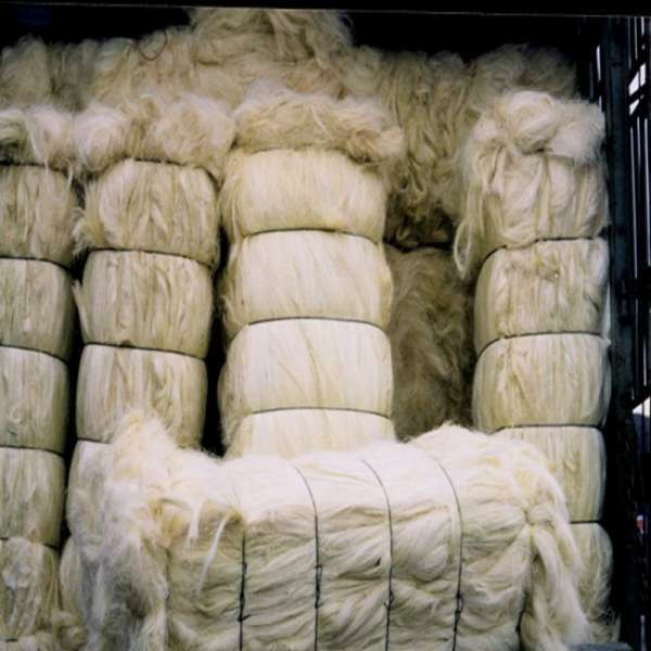 Sisal Fiber Ug Grade