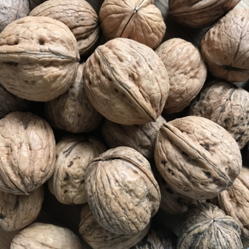 Walnuts