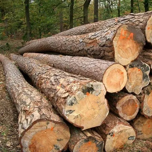 Wood Logs