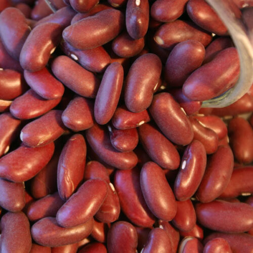 kidney Beans